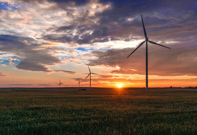 Warum Windräder stillstehen