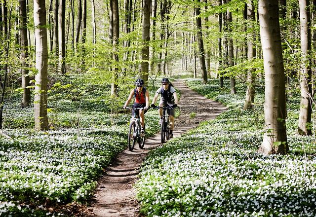 Radtour quer durch die Pfalz: Glan - Worms