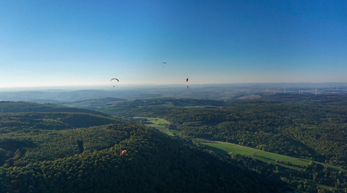 Das Bild zeigt eine Waldlandschaft aus der Vogelperspektive. Am Himmel schweben Paraglider.  | © Guido Ihlein / iStock