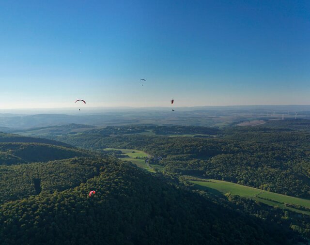 Das Bild zeigt eine Waldlandschaft aus der Vogelperspektive. Am Himmel schweben Paraglider.  | © Guido Ihlein / iStock