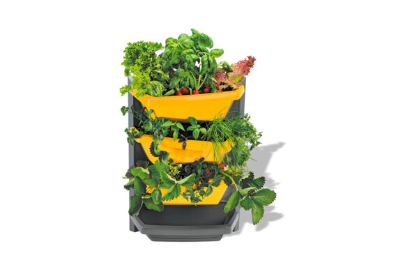 Das Bild zeigt einen Vertical Garden, der an der Wand montiert werden kann.  | © Juwel