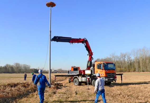 © PFALZWERKE AKTIENGESELLSCHAFT