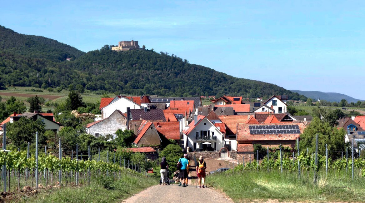 © Touristinformation Maikammer