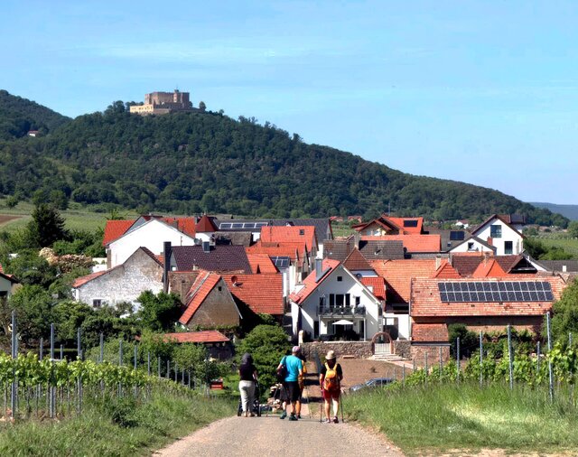 © Touristinformation Maikammer © Touristinformation Maikammer