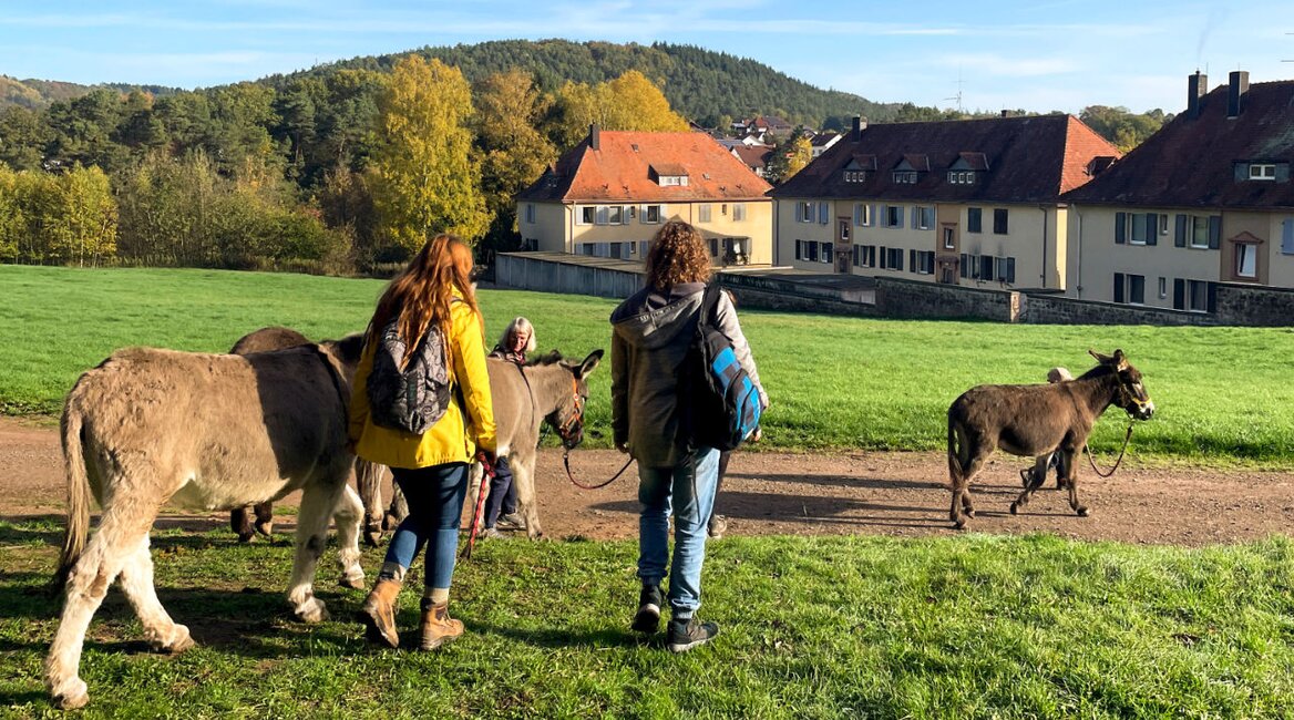 Esel sind neugierig und haben das Unterwegssein im Blut. | © Max Hafi